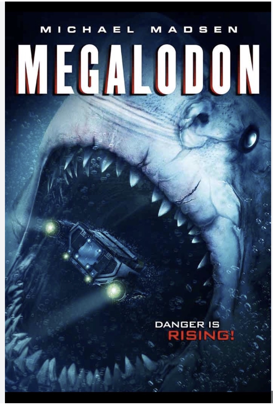 megalodon danger is rising